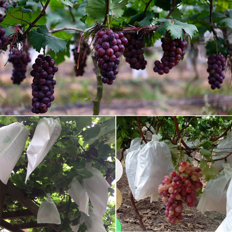 100pcs Waterproof Grape Packaging Bag Paper Bag Fruit Protective Bag, Specification:28x36