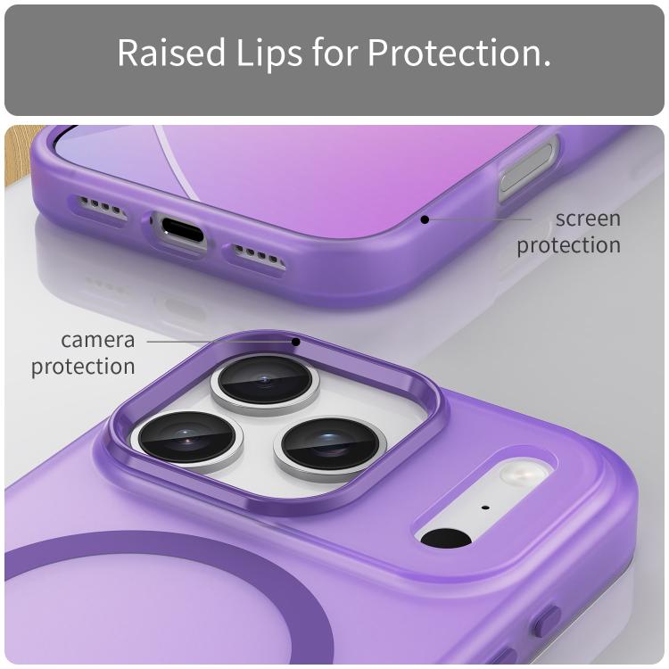 For iPhone 17 Pro MagSafe Frosted Translucent TPU + PC Full Coverage Phone Case