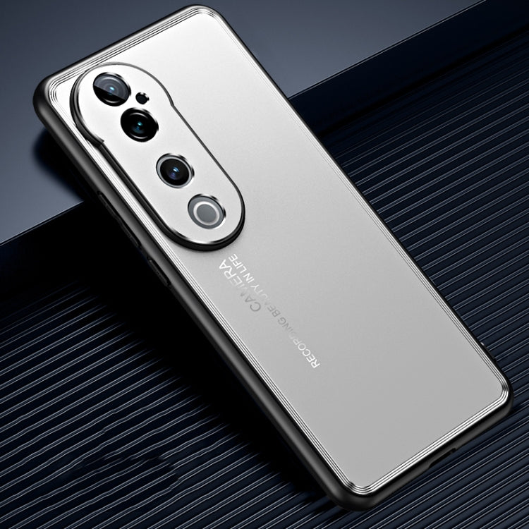For vivo S19 Frosted Metal Phone Case