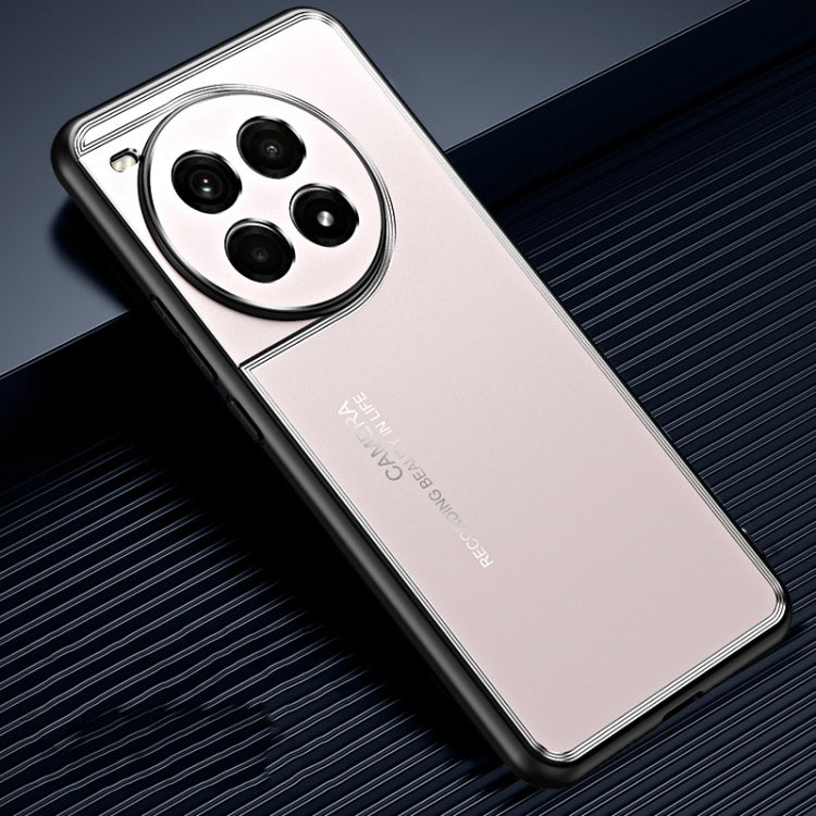 For OnePlus Ace 3 Pro Frosted Metal Phone Case