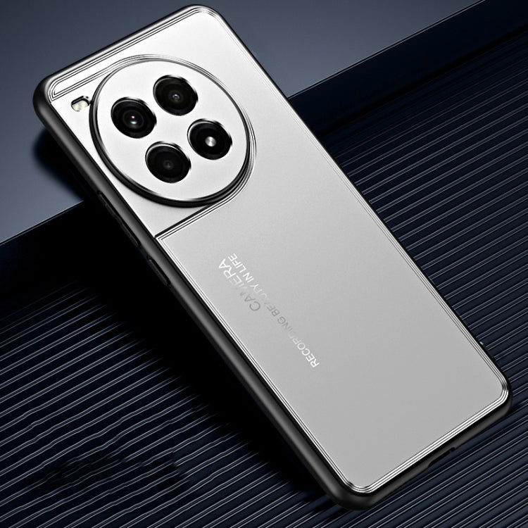For OnePlus Ace 3 Pro Frosted Metal Phone Case