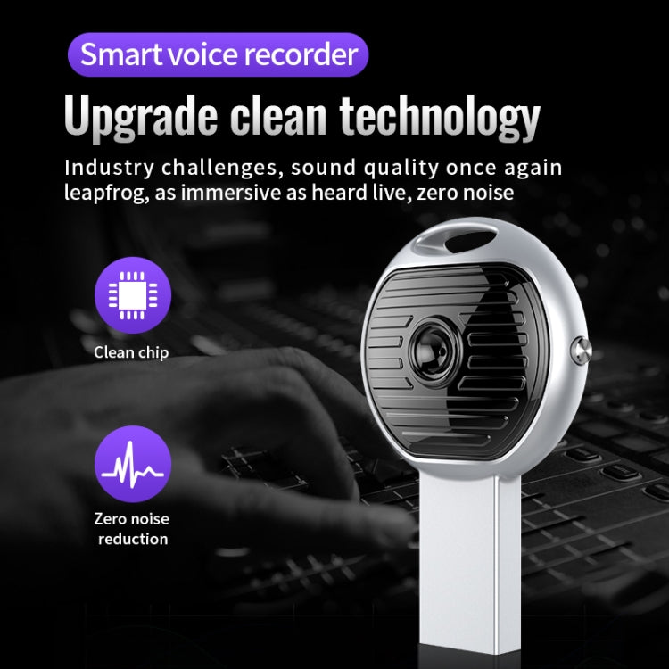 JNN S13 Zinc Alloy U-disk Voice Recorder, Memory:32GB - Silver