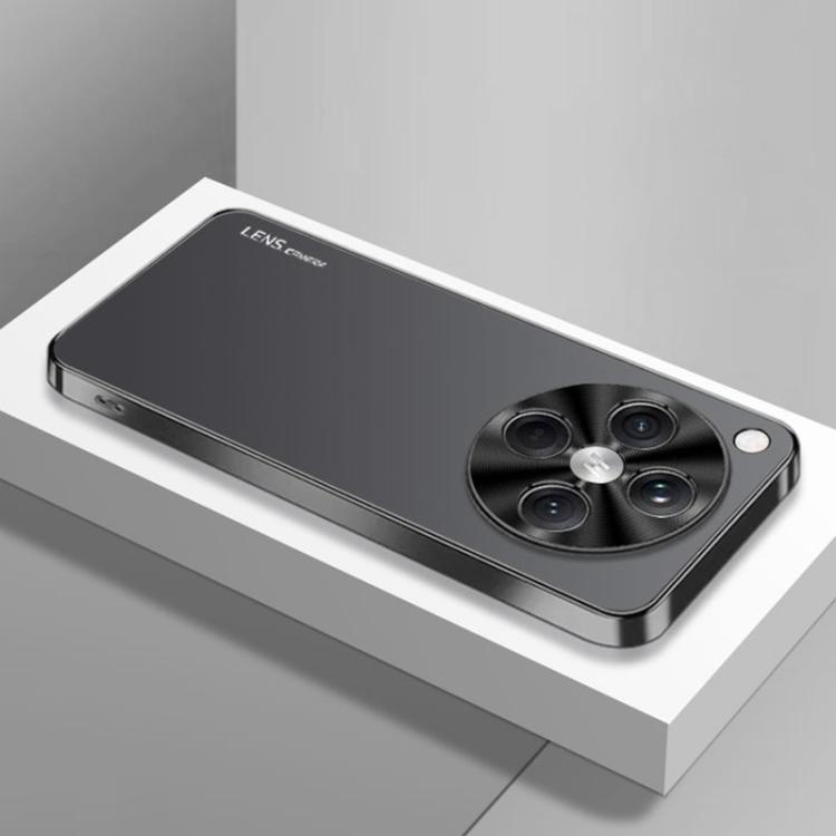 For OPPO Find X8 Pro AG Frosted Electroplating Acrylic Phone Case