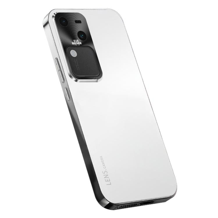 For vivo V30 Pro AG Frosted Electroplating Acrylic Phone Case