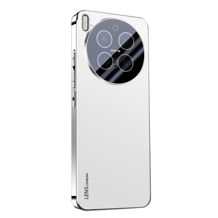 For vivo X300 Pro AG Frosted Electroplating Acrylic Phone Case