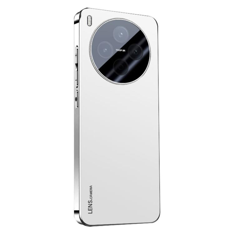 For vivo Y500 Pro 5G AG Frosted Electroplating Acrylic Phone Case