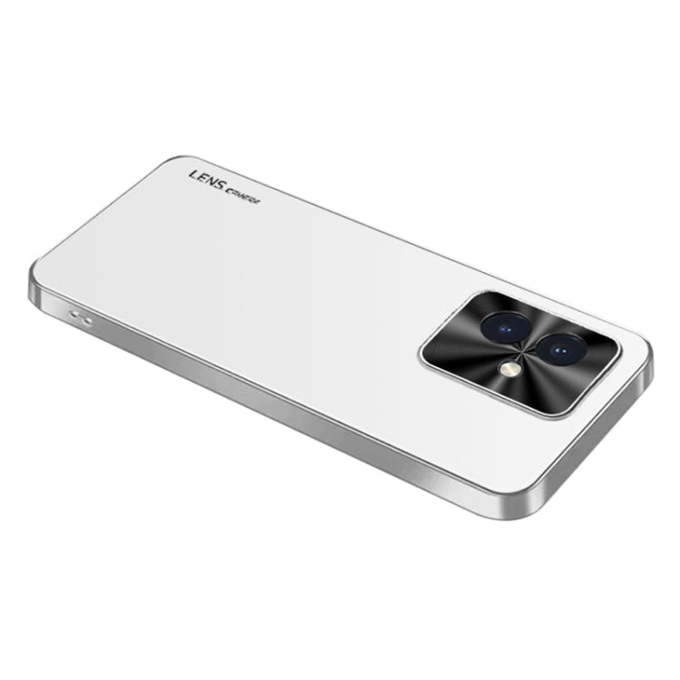For Honor 100 AG Frosted Electroplating Acrylic Phone Case