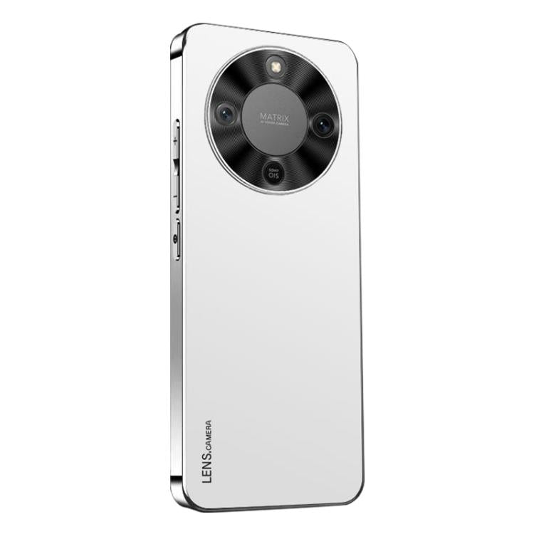 For Honor X70 5G AG Frosted Electroplating Acrylic Phone Case
