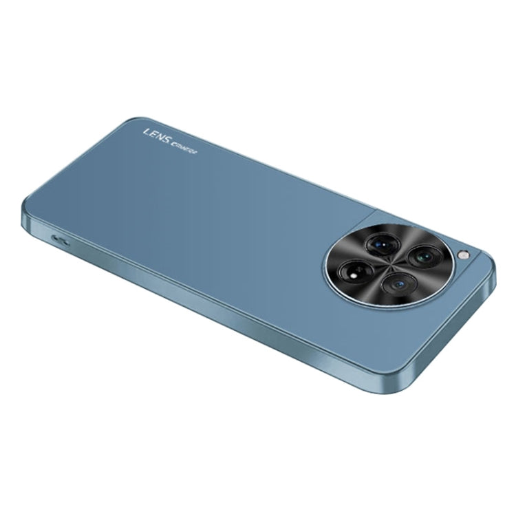 For OnePlus 12 AG Frosted Electroplating Acrylic Phone Case