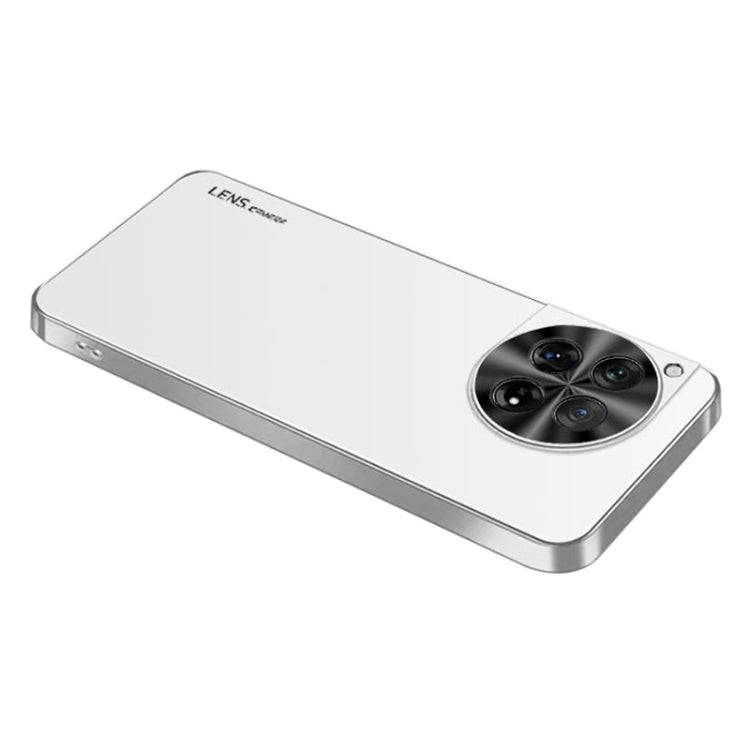 For OnePlus 12 AG Frosted Electroplating Acrylic Phone Case