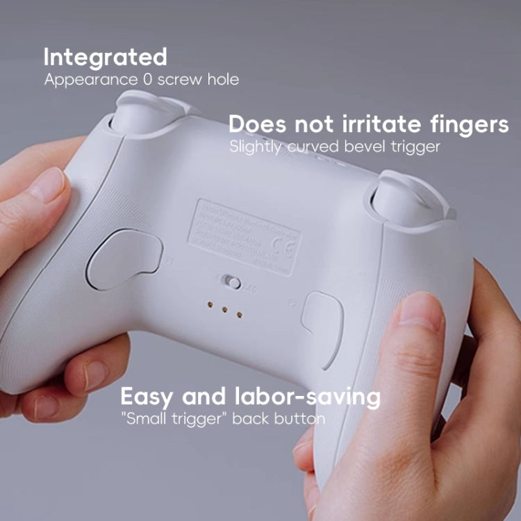 8BitDo Orion NS Version True Wireless Bluetooth Gamepad with Charging Stand