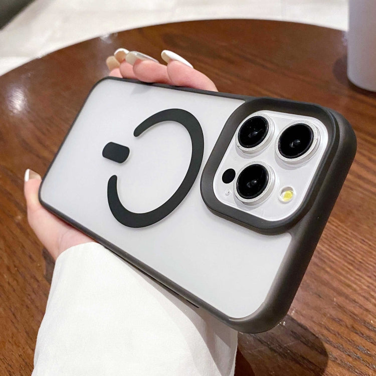 For iPhone 13 Pro Dual-Side Frosted MagSafe Clear Phone Case