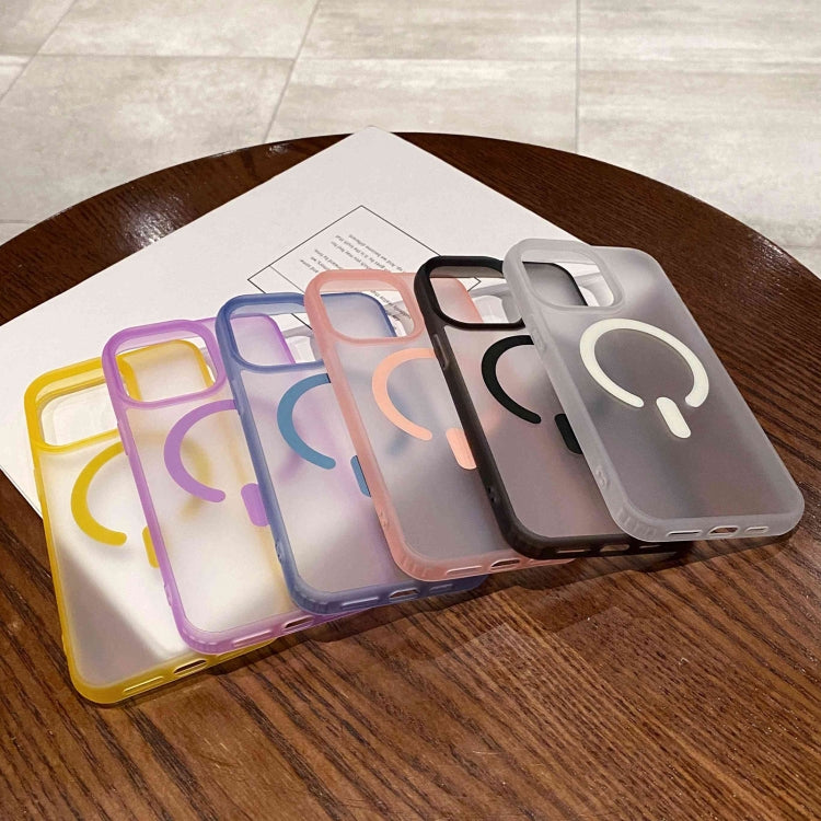 For iPhone 12 Pro Max Dual-Side Frosted MagSafe Clear Phone Case