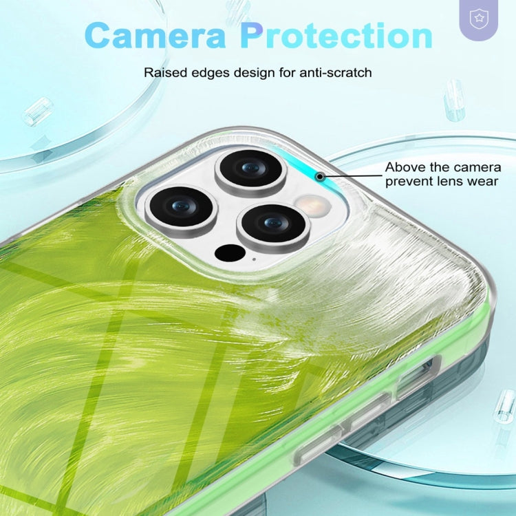 For iPhone 13 Pro Max IMD Gradient Feather PC Hybrid TPU Phone Case