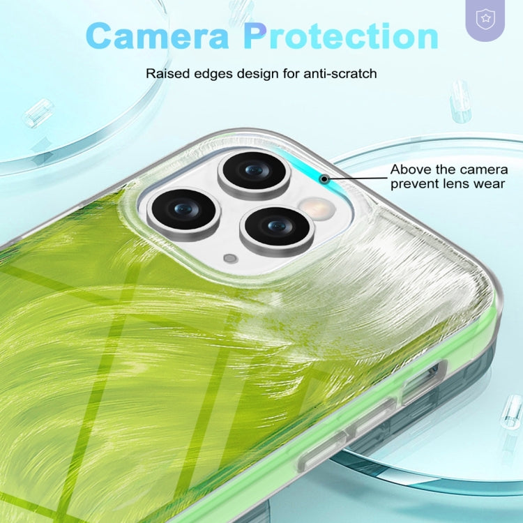 For iPhone 11 Pro Max IMD Gradient Feather PC Hybrid TPU Phone Case