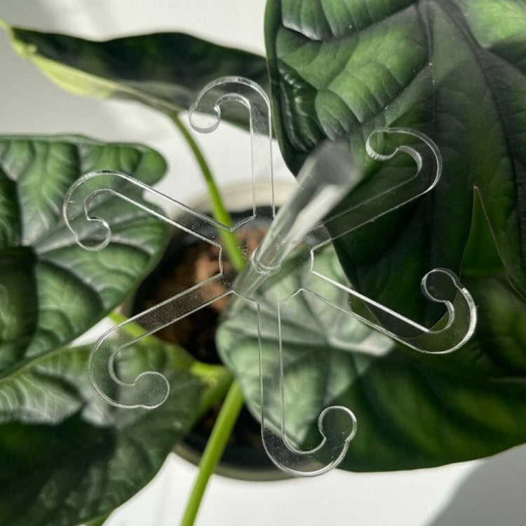 YX106 Acrylic Plant Growth Support Bracket