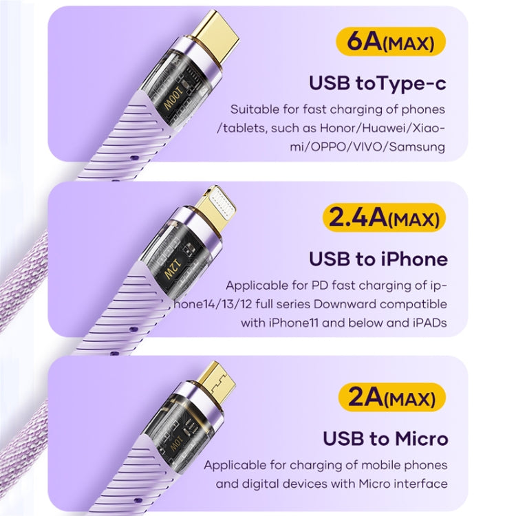 ROCK G20 1.5m 100W 3 in 1 USB-C / Type-C Fast Charging Data Cable