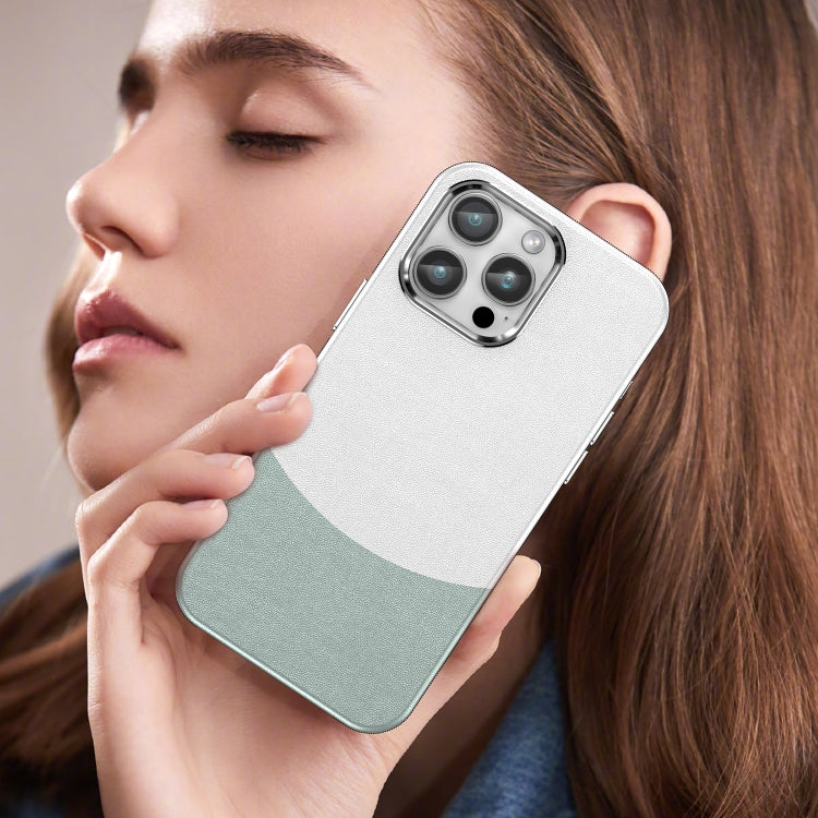 For iPhone 15 Pro Max Leather Texture MagSafe Magnetic TPU + PC Phone Case