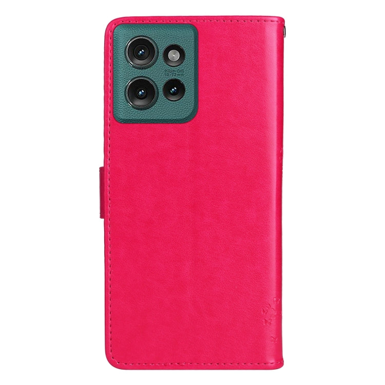For Motorola Edge 50 5G Tree & Cat Embossed Pattern Flip Leather Phone Case