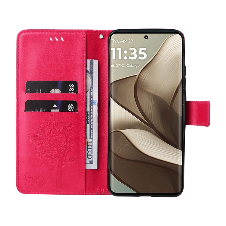 For Motorola Edge 50 5G Tree & Cat Embossed Pattern Flip Leather Phone Case