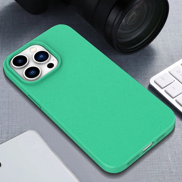 For iPhone 16 Plus Wheat Straw TPU Phone Case