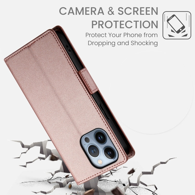 For iPhone 13 Pro Side Buckle Magnetic Frosted Leather Phone Case