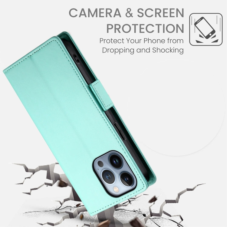 For iPhone 13 Pro Side Buckle Magnetic Frosted Leather Phone Case