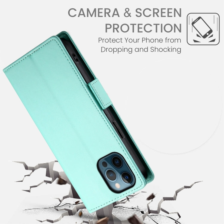 For iPhone 12 Pro Max Side Buckle Magnetic Frosted Leather Phone Case