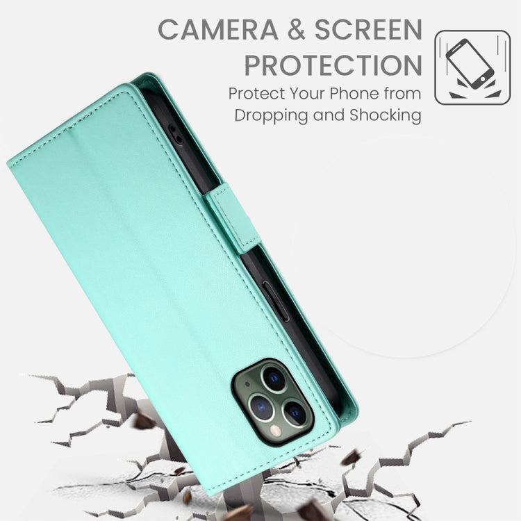 For iPhone 11 Pro Side Buckle Magnetic Frosted Leather Phone Case