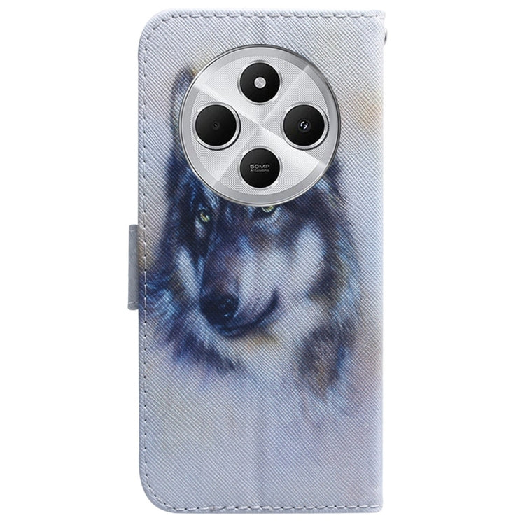 For Redmi 14C 4G Coloured Drawing Flip Leather Phone Case