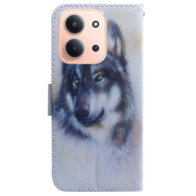 For Redmi 15C 5G / 4G EU 173mm / Poco C85 5G Coloured Drawing Flip Leather Phone Case