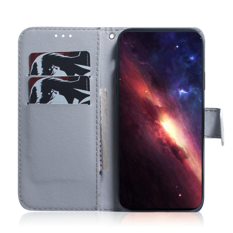 For Xiaomi 14T Pro Coloured Drawing Flip Leather Phone Case