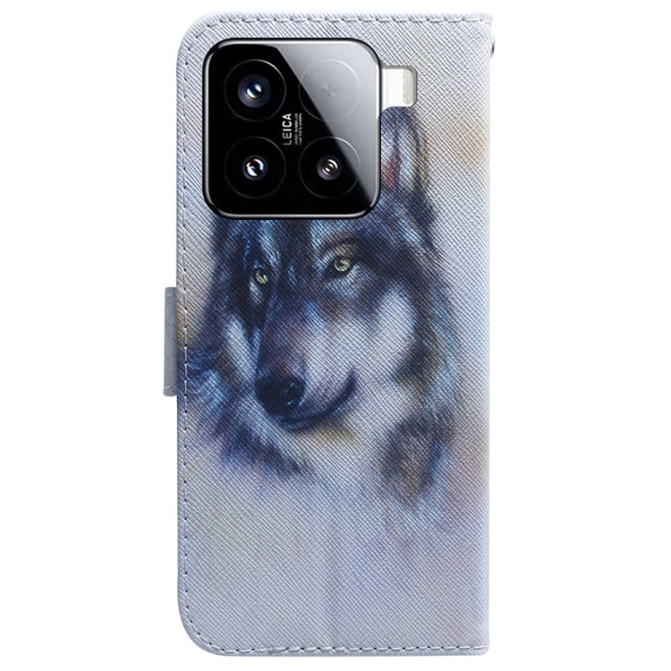 For Xiaomi 15 Coloured Drawing Flip Leather Phone Case