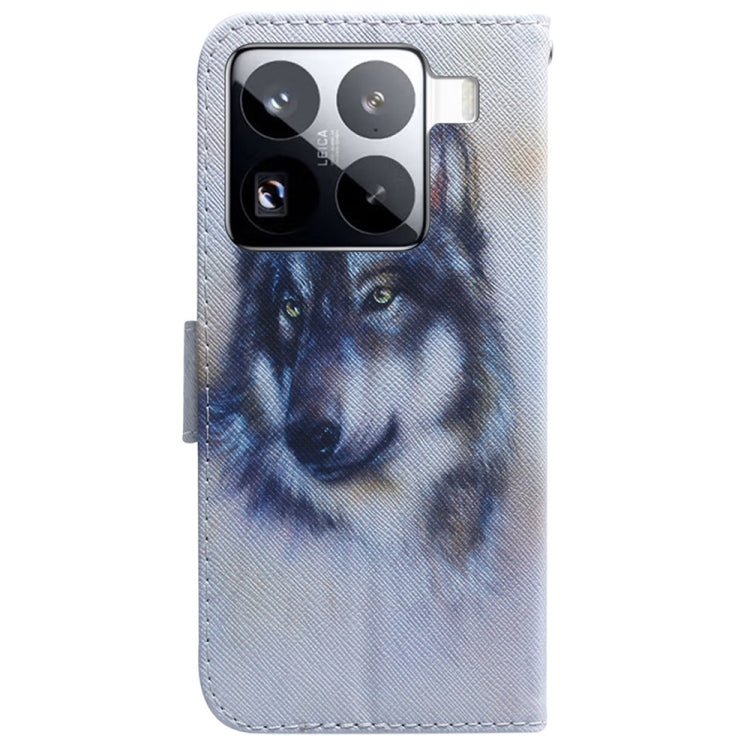 For Xiaomi 15 Pro Coloured Drawing Flip Leather Phone Case