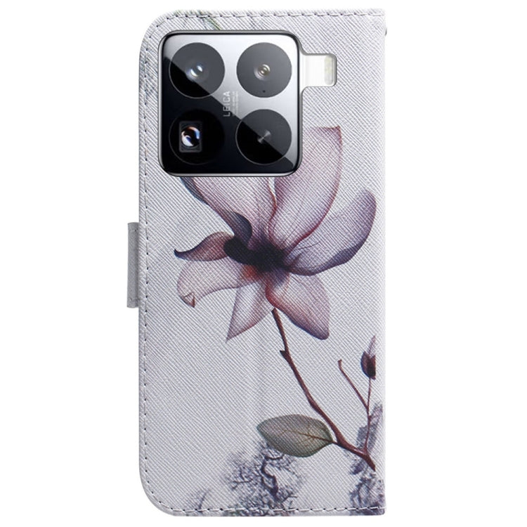 For Xiaomi 15 Pro Coloured Drawing Flip Leather Phone Case