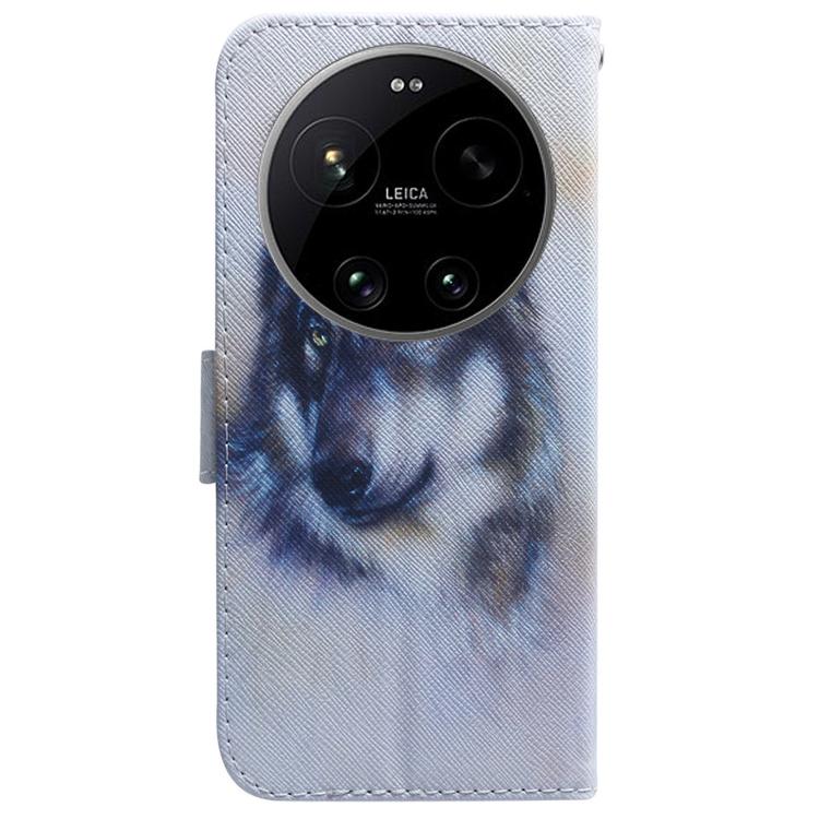 For Xiaomi 17 Ultra Coloured Drawing Flip Leather Phone Case