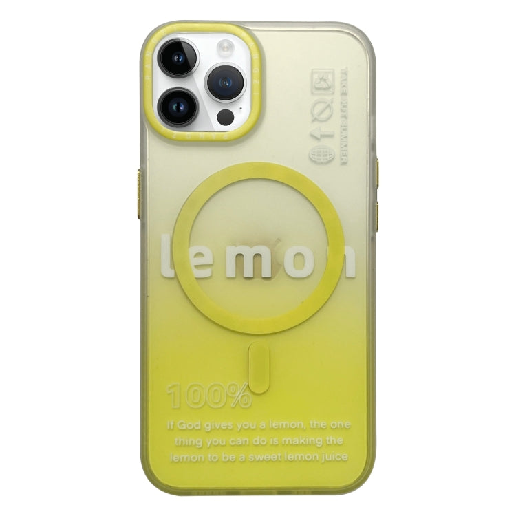 For iPhone 13 Pro Max Double-Layer Frosted Gradient MagSafe Phone Case