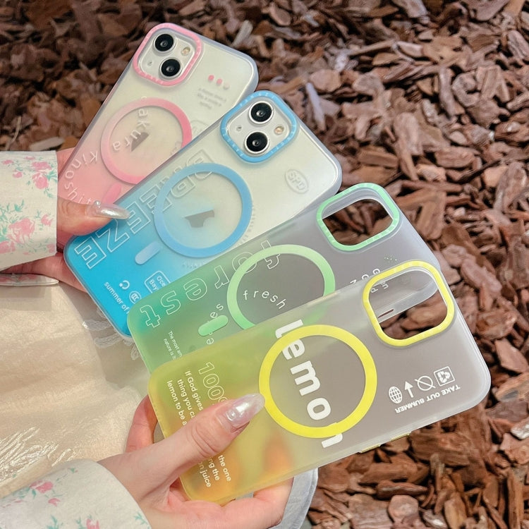 For iPhone 13 Pro Double-Layer Frosted Gradient MagSafe Phone Case