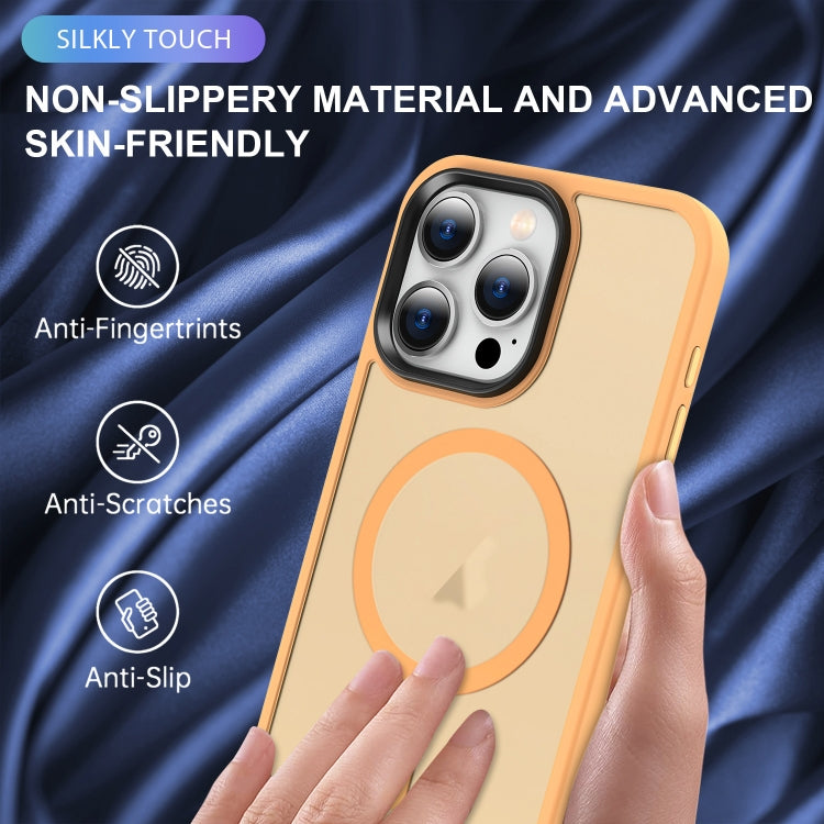 For iPhone 12 MagSafe Magnetic Skin Feel Frosted Phone Case
