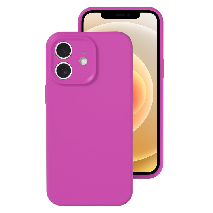 For iPhone 12 Precise Hole Liquid Silicone Jelly Color Full Coverage Phone Case