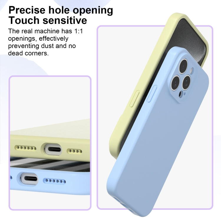 For iPhone 15 Pro Max Precise Hole Liquid Silicone Jelly Color Full Coverage Phone Case