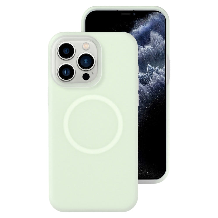 For iPhone 11 Pro Jelly Liquid Silicone MagSafe Magnetic Phone Case