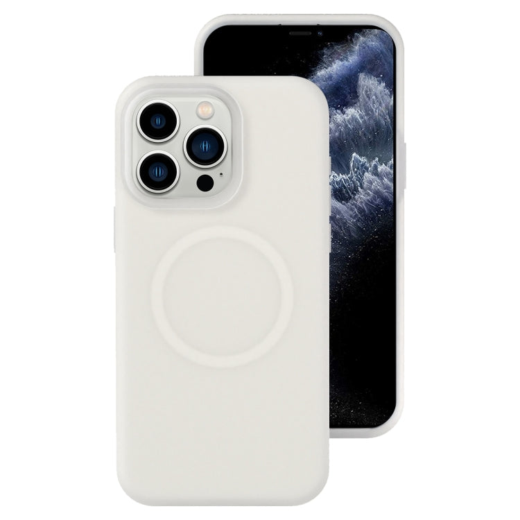 For iPhone 11 Pro Jelly Liquid Silicone MagSafe Magnetic Phone Case