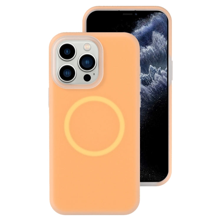 For iPhone 11 Pro Max Jelly Liquid Silicone MagSafe Magnetic Phone Case