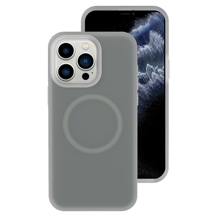For iPhone 11 Pro Max Jelly Liquid Silicone MagSafe Magnetic Phone Case