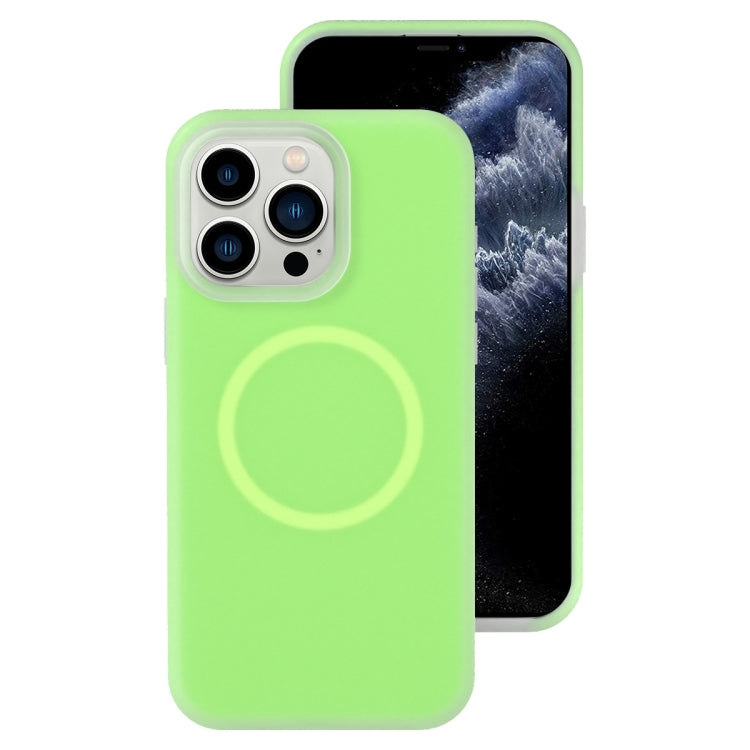 For iPhone 11 Pro Max Jelly Liquid Silicone MagSafe Magnetic Phone Case