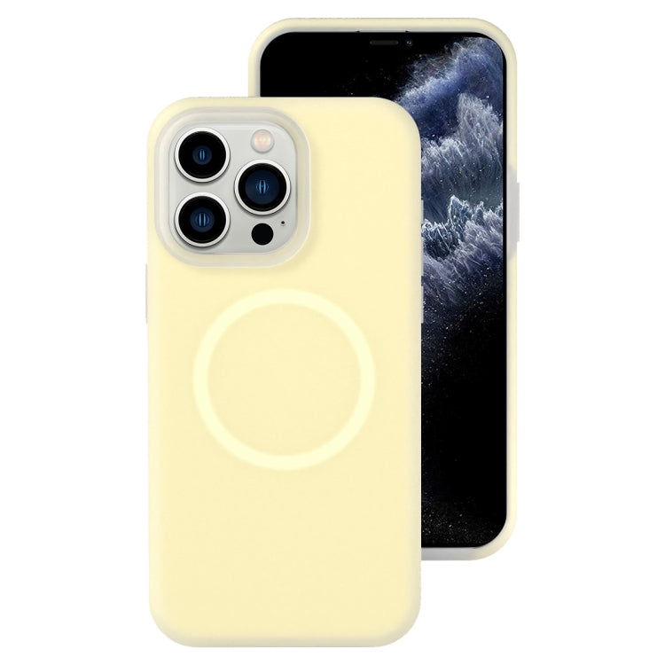 For iPhone 11 Pro Max Jelly Liquid Silicone MagSafe Magnetic Phone Case