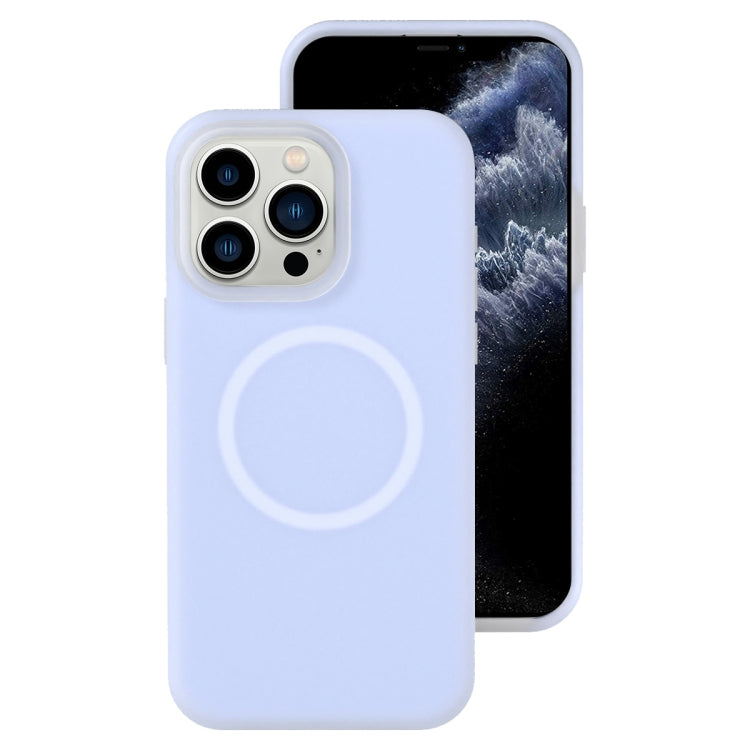 For iPhone 11 Pro Max Jelly Liquid Silicone MagSafe Magnetic Phone Case