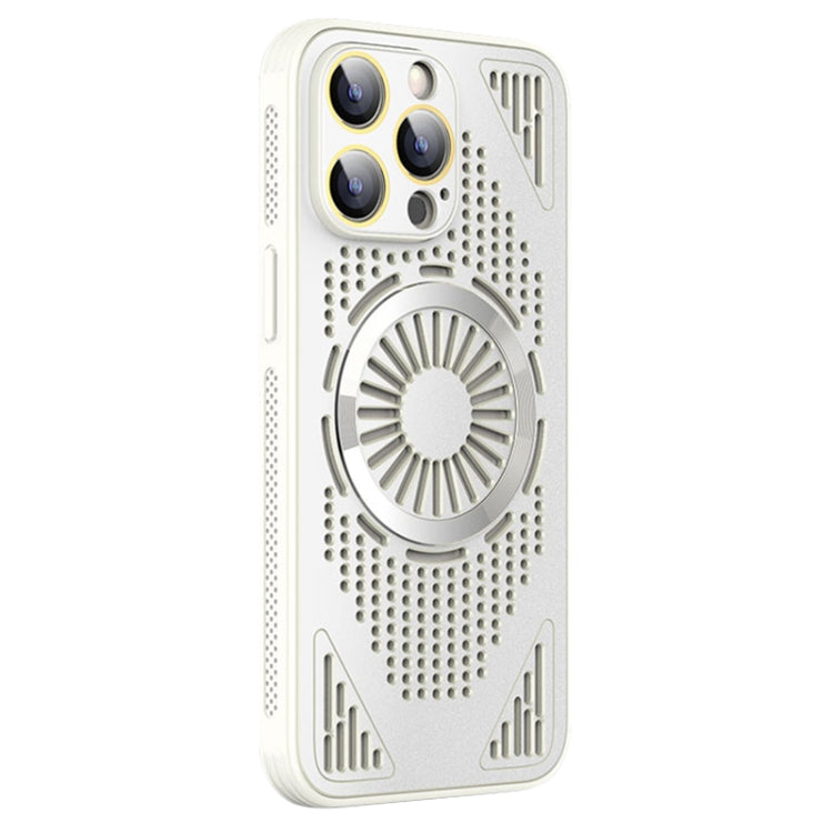 For iPhone 12 Pro Hollow Cooling MagSafe Shockproof Phone Case