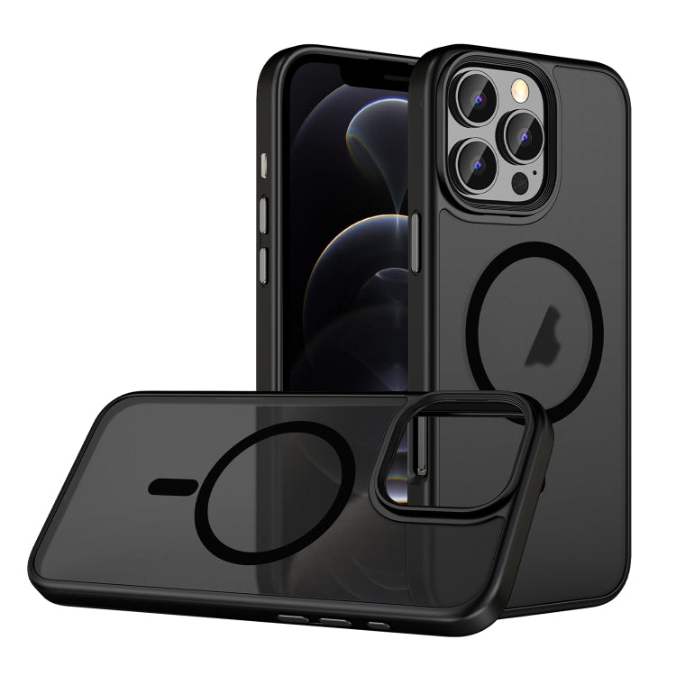 For iPhone 12 Pro Skin Feel Frosted MagSafe Magnetic Phone Case - Transparent Black